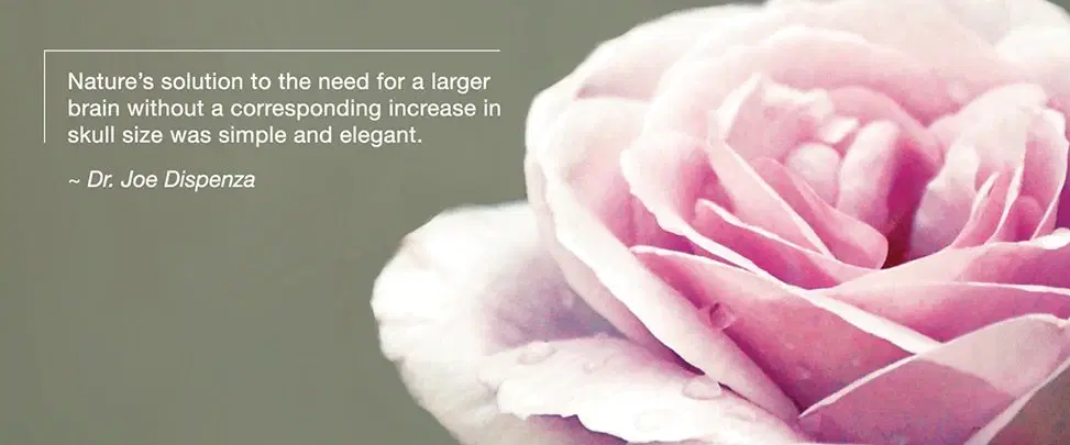 最大的未解之謎——演化