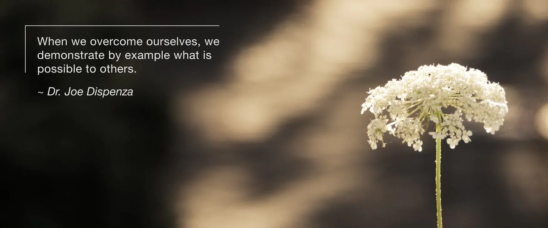 每個人都會死，但不是每個人都活過