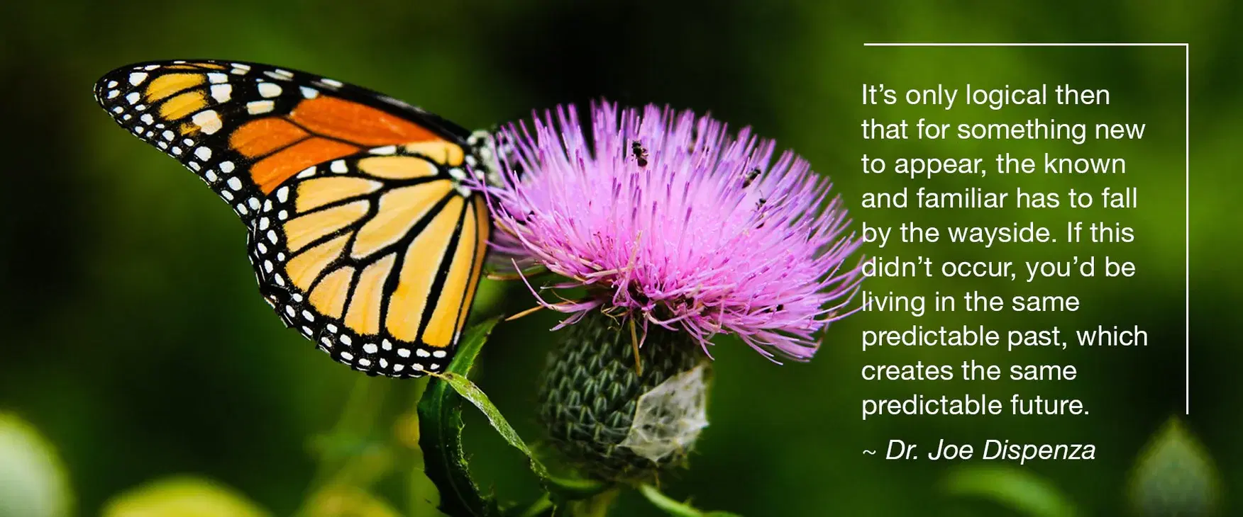 如何成為我們所尋找的That