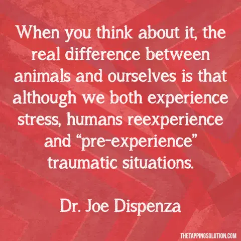 我們可以從動物身上學到什麼