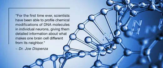 灰質中的灰色是什麼？