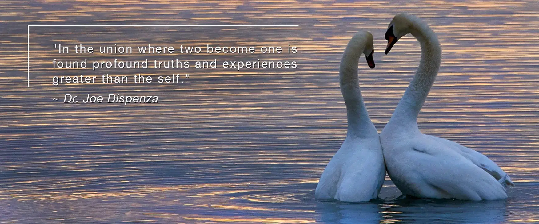 一場神聖的愛情關係