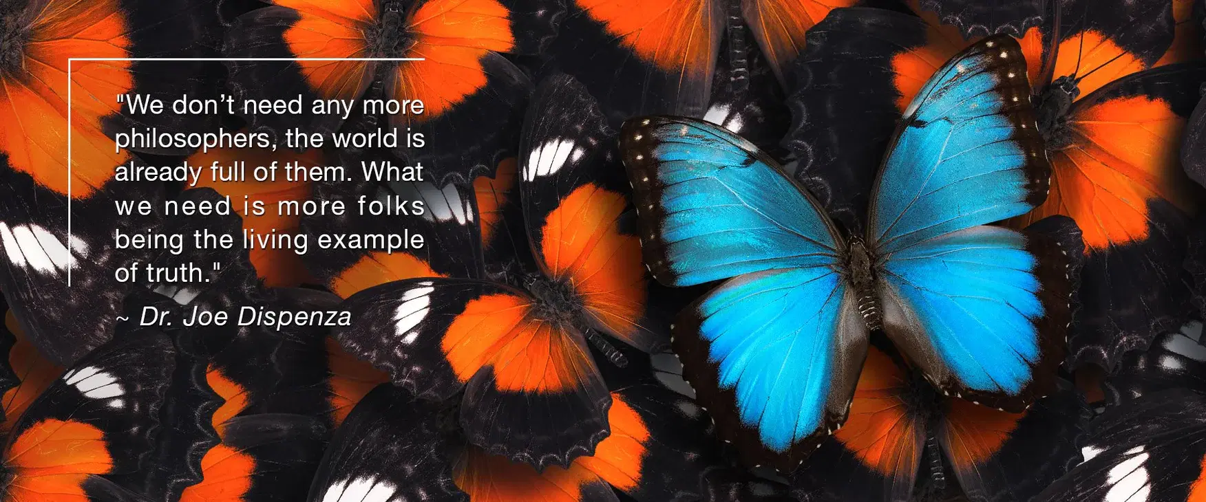 一手握持現實，一手觸碰量子