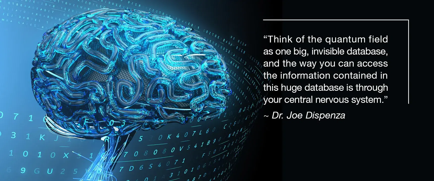 存取無限資料庫