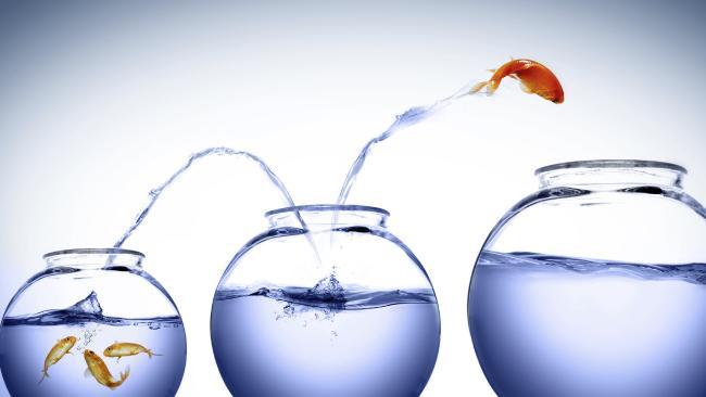 調整環境，成就明日的你：第二部曲