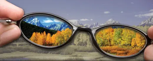 你就是安慰劑：心因性的盲目