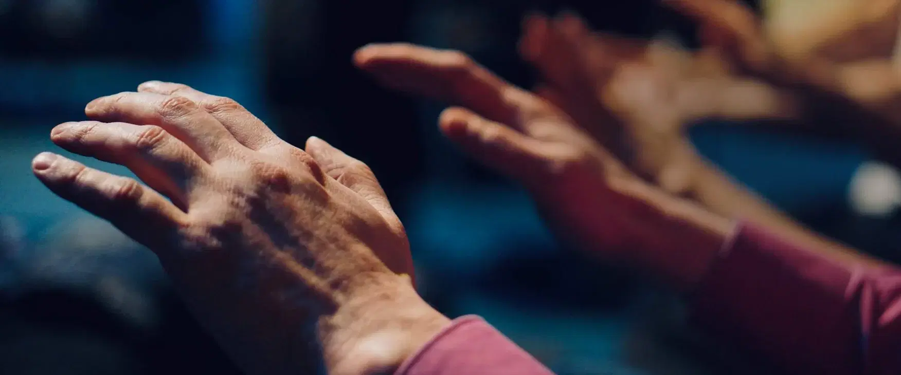 為期一年的協同療癒實踐