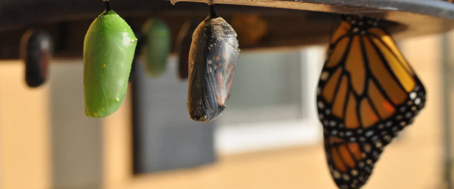 回歸根本：重塑自我的基礎