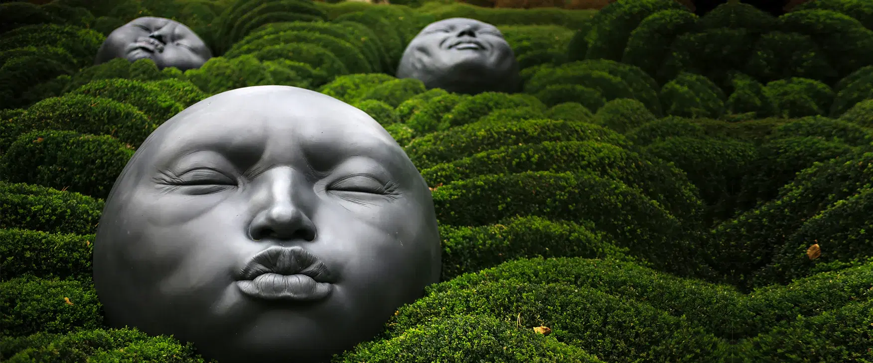 情緒並非你的敵人：第一部