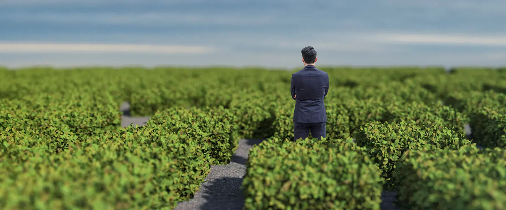 情緒並非你的敵人：第二部