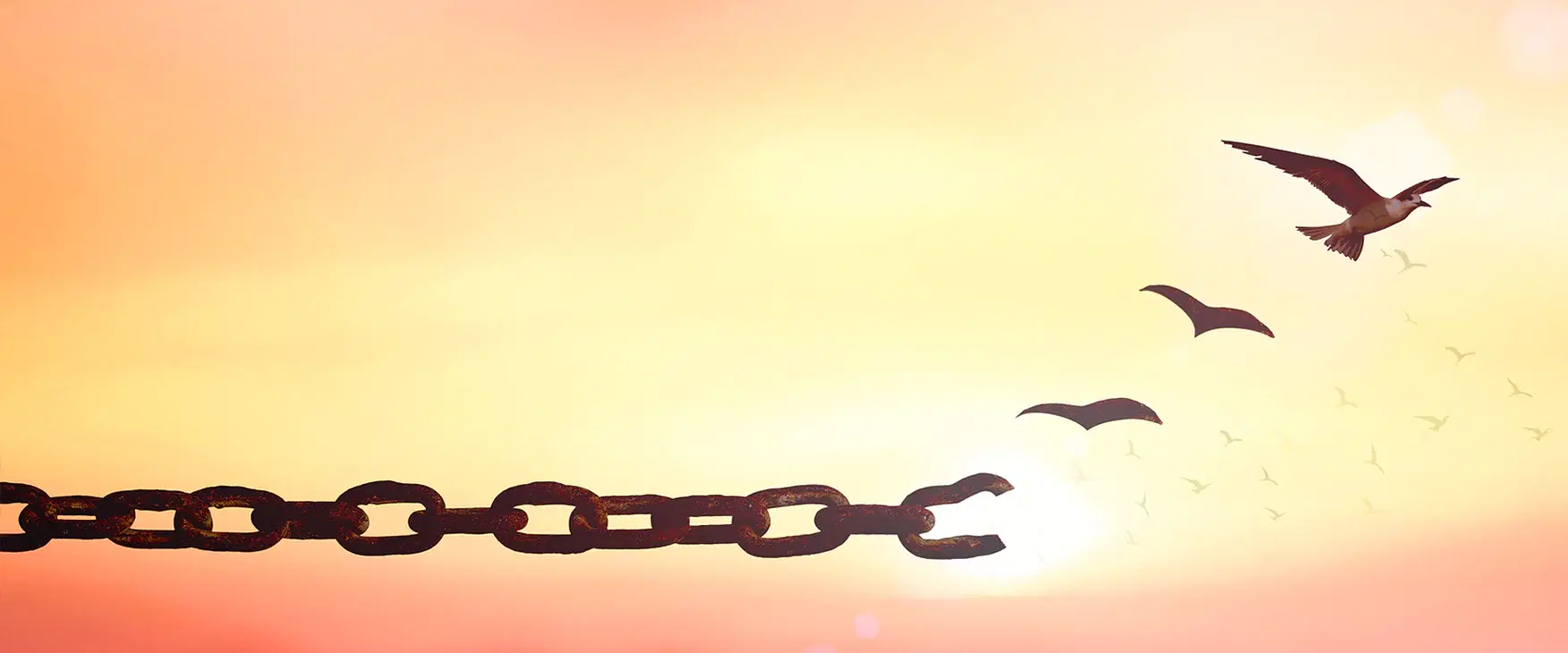 寬恕過去，是為了創造未來