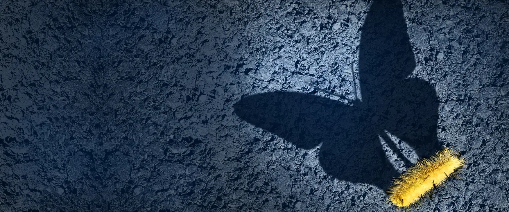 讓改變扎根：擺脫新年計畫「虎頭蛇尾」的祕訣