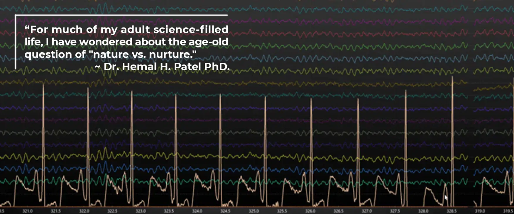 來自希摩爾．帕托博士的一封信