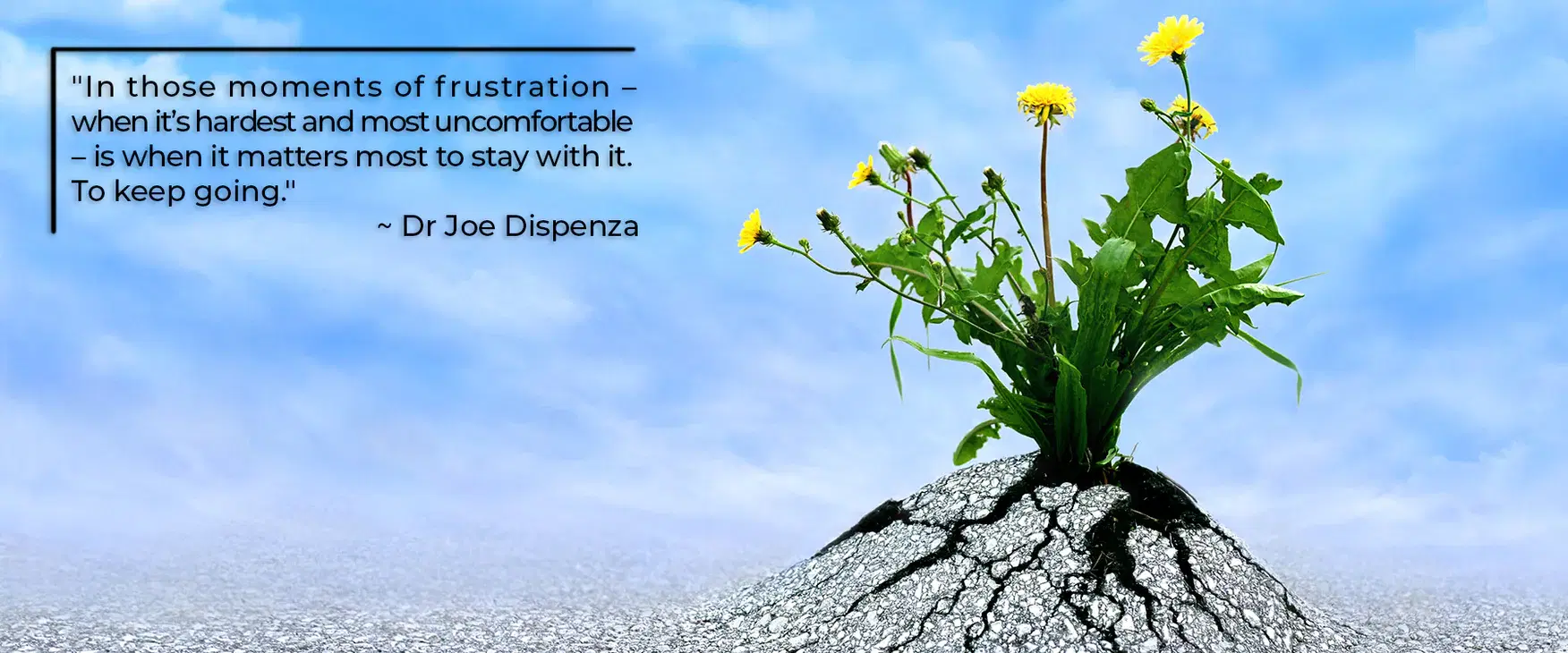 相信、實踐、到終究成為：創造新實相的三部曲