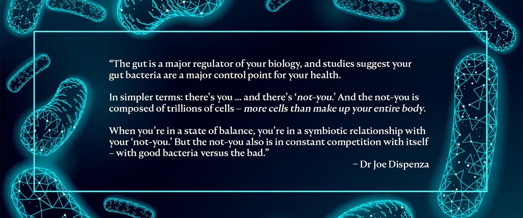 來自 QUANTUM 研究計畫：令人振奮的初步研究成果
